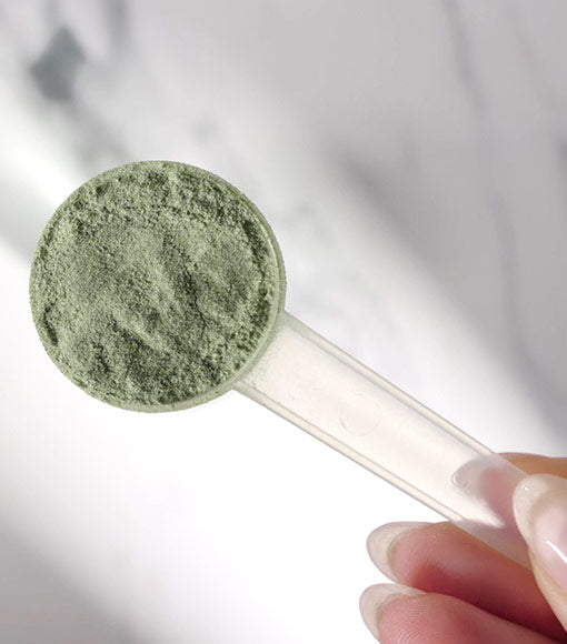Herboxa® SUPER GREENS¹